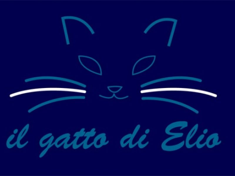 Le valutazione del "Gatto di Elio", foto 1